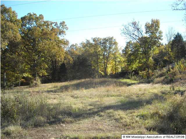 2840 Mays Road Coldwater, MS 38618 - Photo 28 of 30 Additional Photo