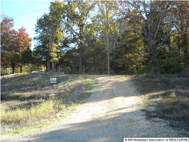 2840 Mays Road Coldwater, MS 38618 - Photo 29 of 30 Additional Photo