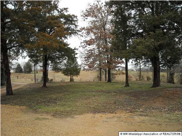 2840 Mays Road Coldwater, MS 38618 - Photo 5 of 30 Additional Photo