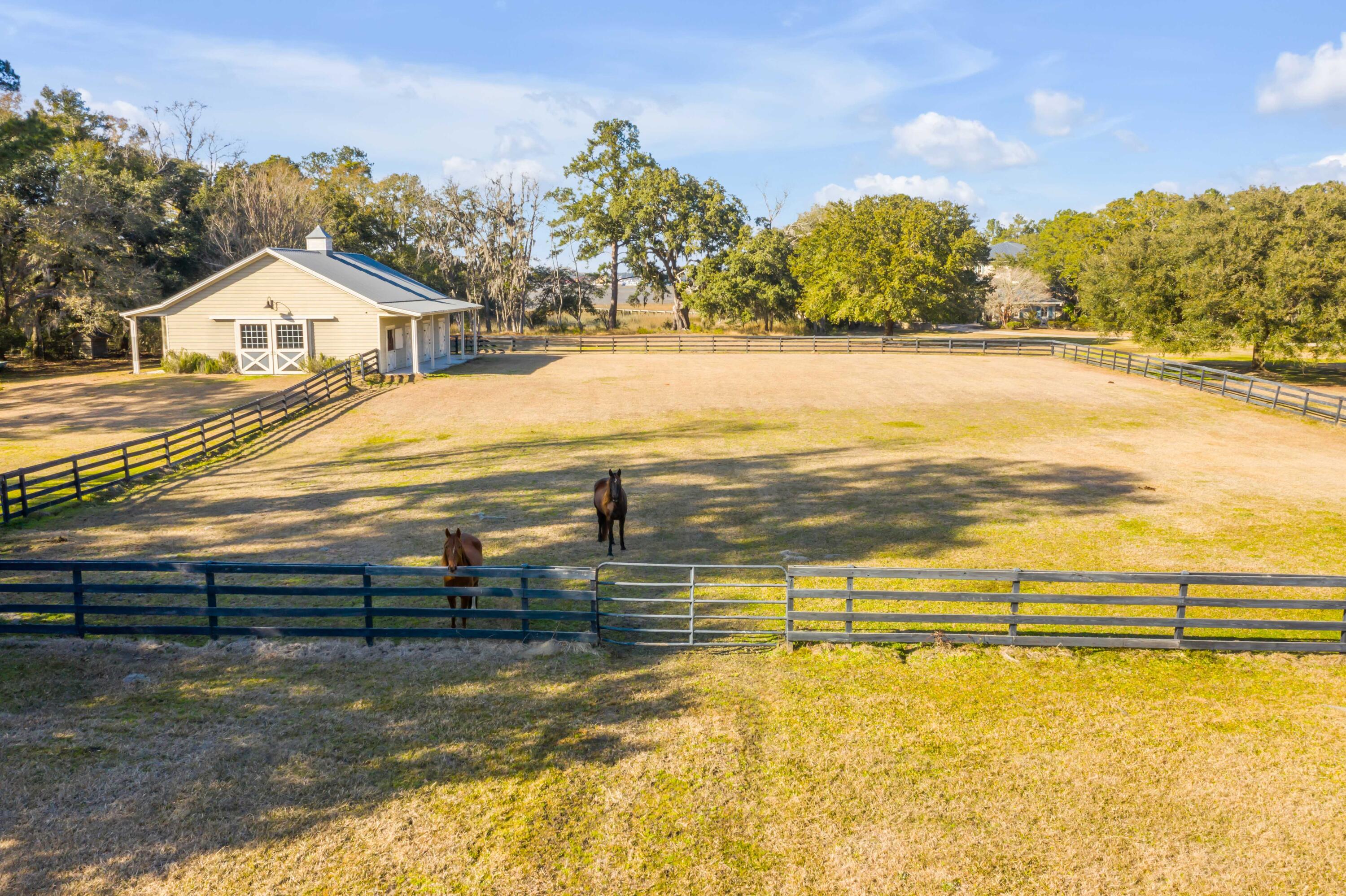 6080 Josie Ridge Road Wadmalaw Island, SC 29487 - Photo 20 of 86 Pasture