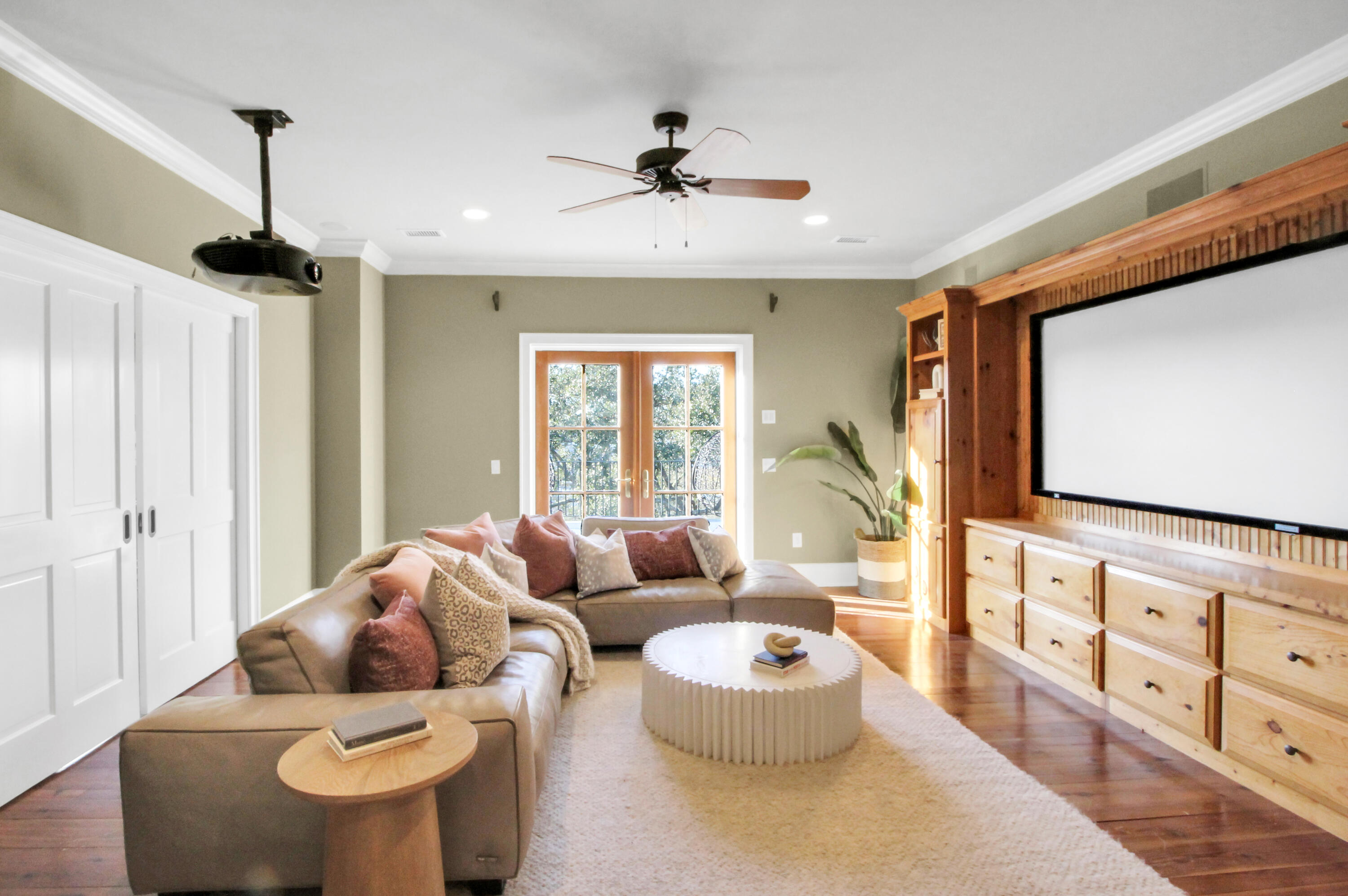 6080 Josie Ridge Road Wadmalaw Island, SC 29487 - Photo 65 of 86 Projector Screen