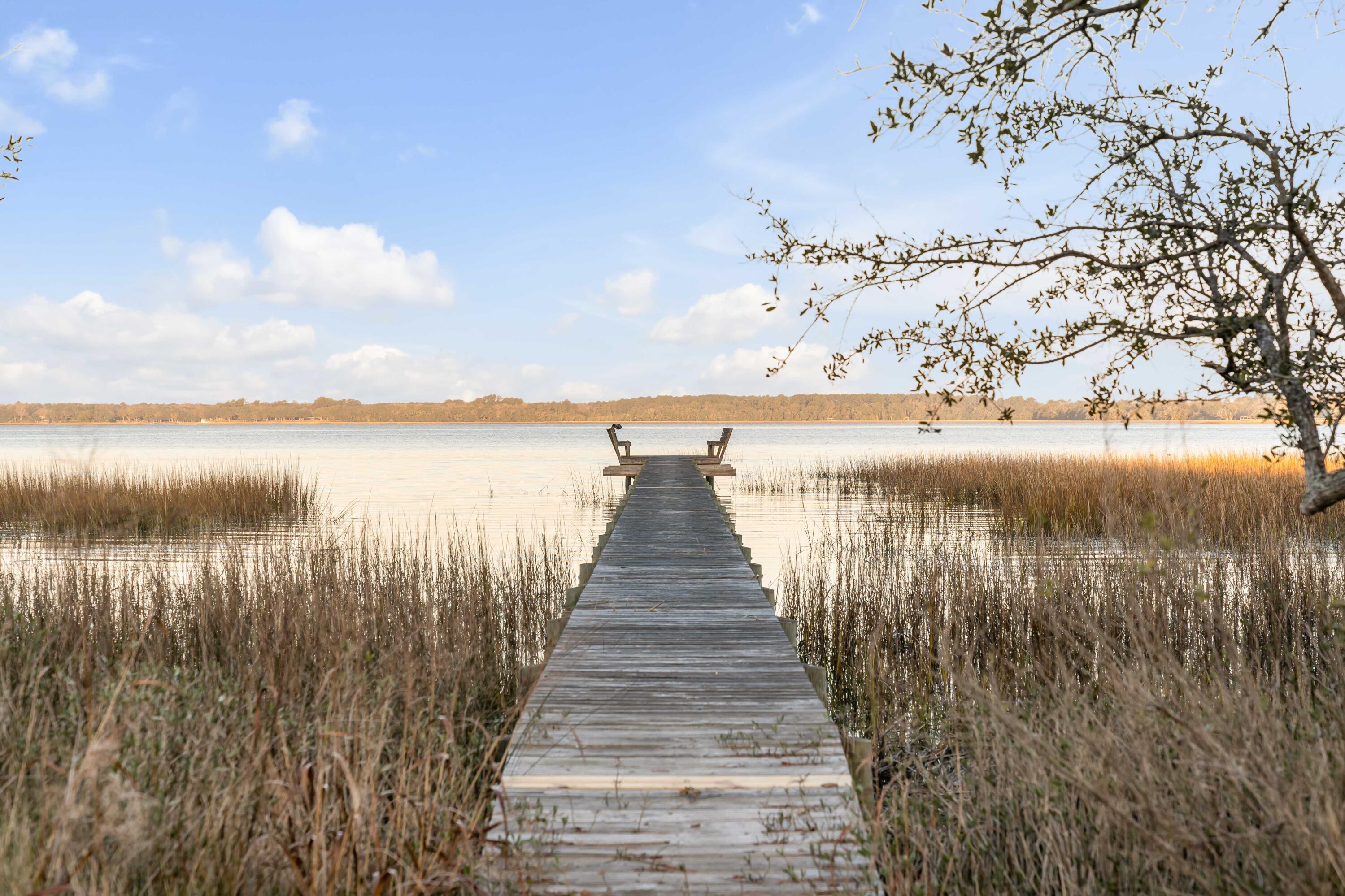 6080 Josie Ridge Road Wadmalaw Island, SC 29487 - Photo 73 of 86 220 Foot Dock