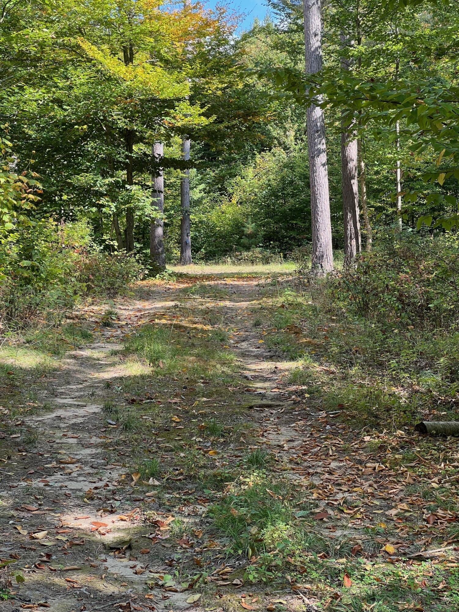 0 Pond Road Malone, NY 12953 - Photo 11 of 13 Gallery Image 11