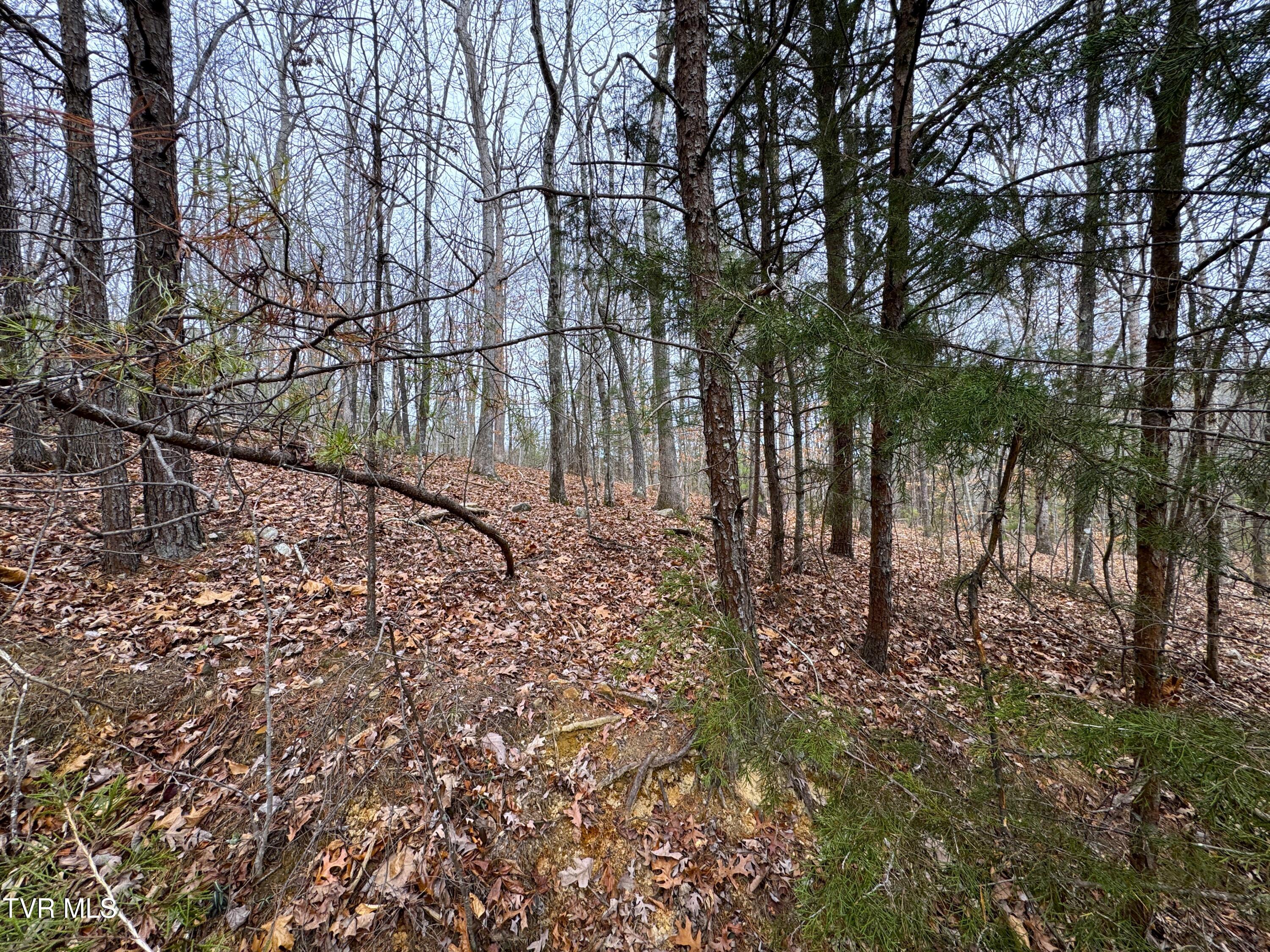 Lot 44 Zuni Way, Unit 44 Del Rio, TN 37727 - Photo 1 of 9 IMG_3252