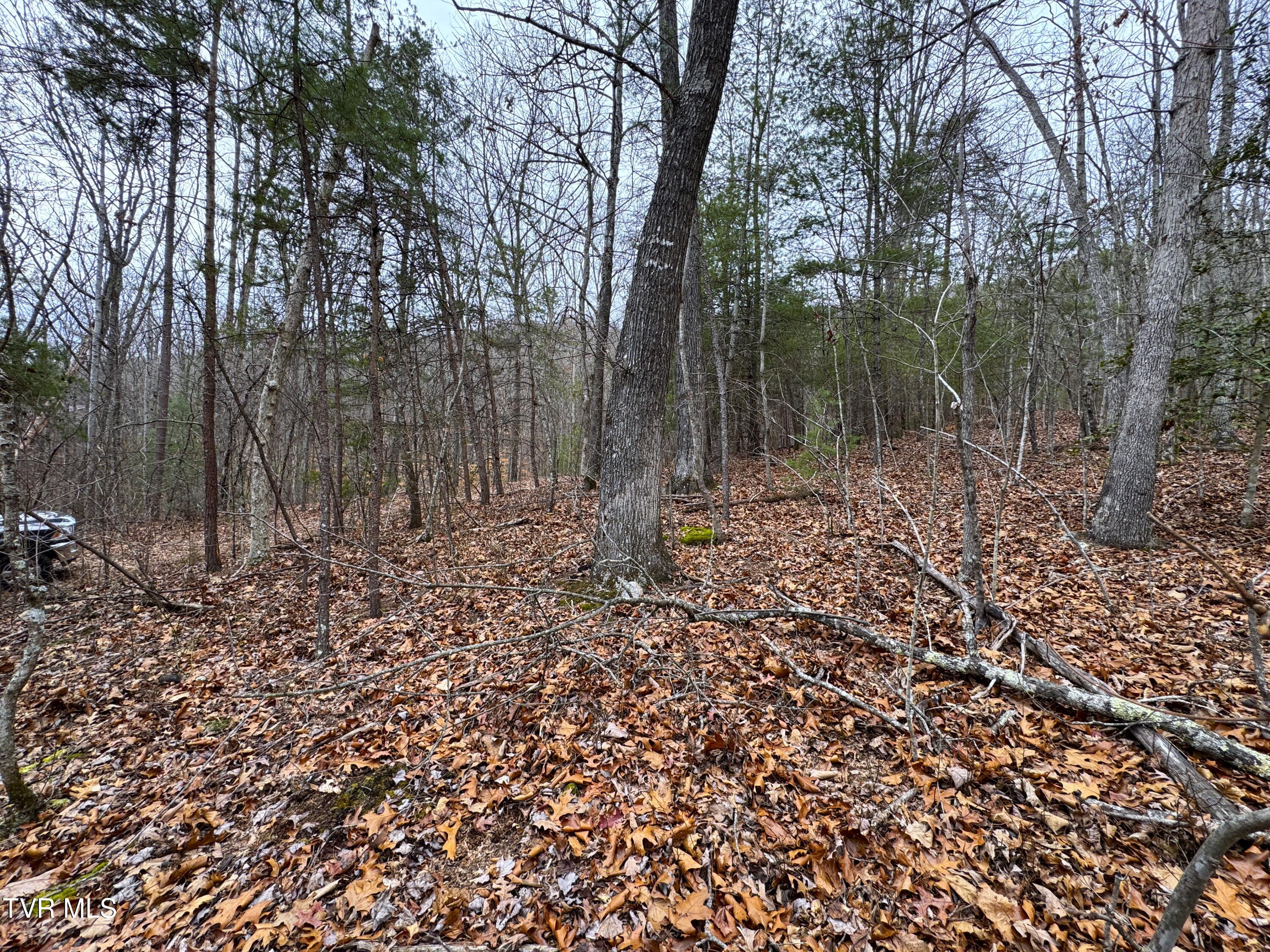 Lot 44 Zuni Way, Unit 44 Del Rio, TN 37727 - Photo 7 of 9 IMG_3258