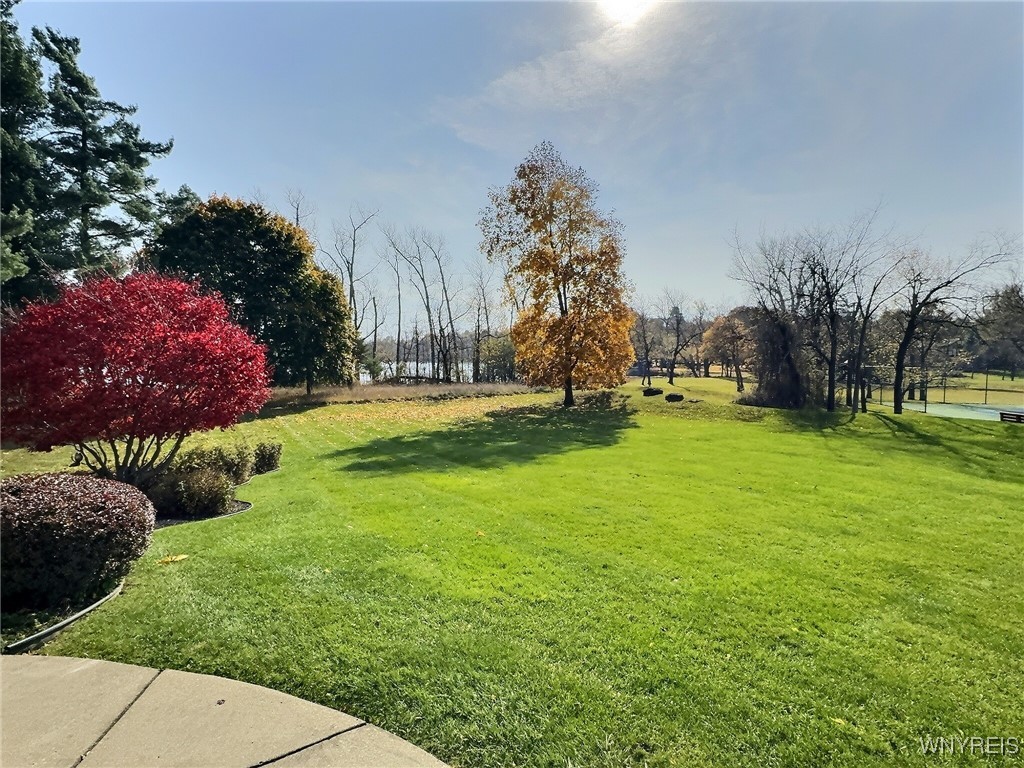 9665 Rocky Point Clarence, NY 14031 - Photo 47 of 50