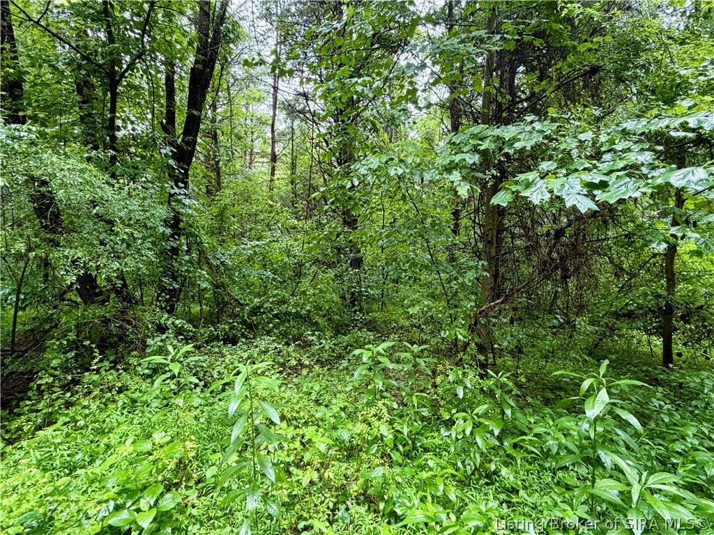 Pfister Road Otisco, IN 47163 - Photo 21 of 50