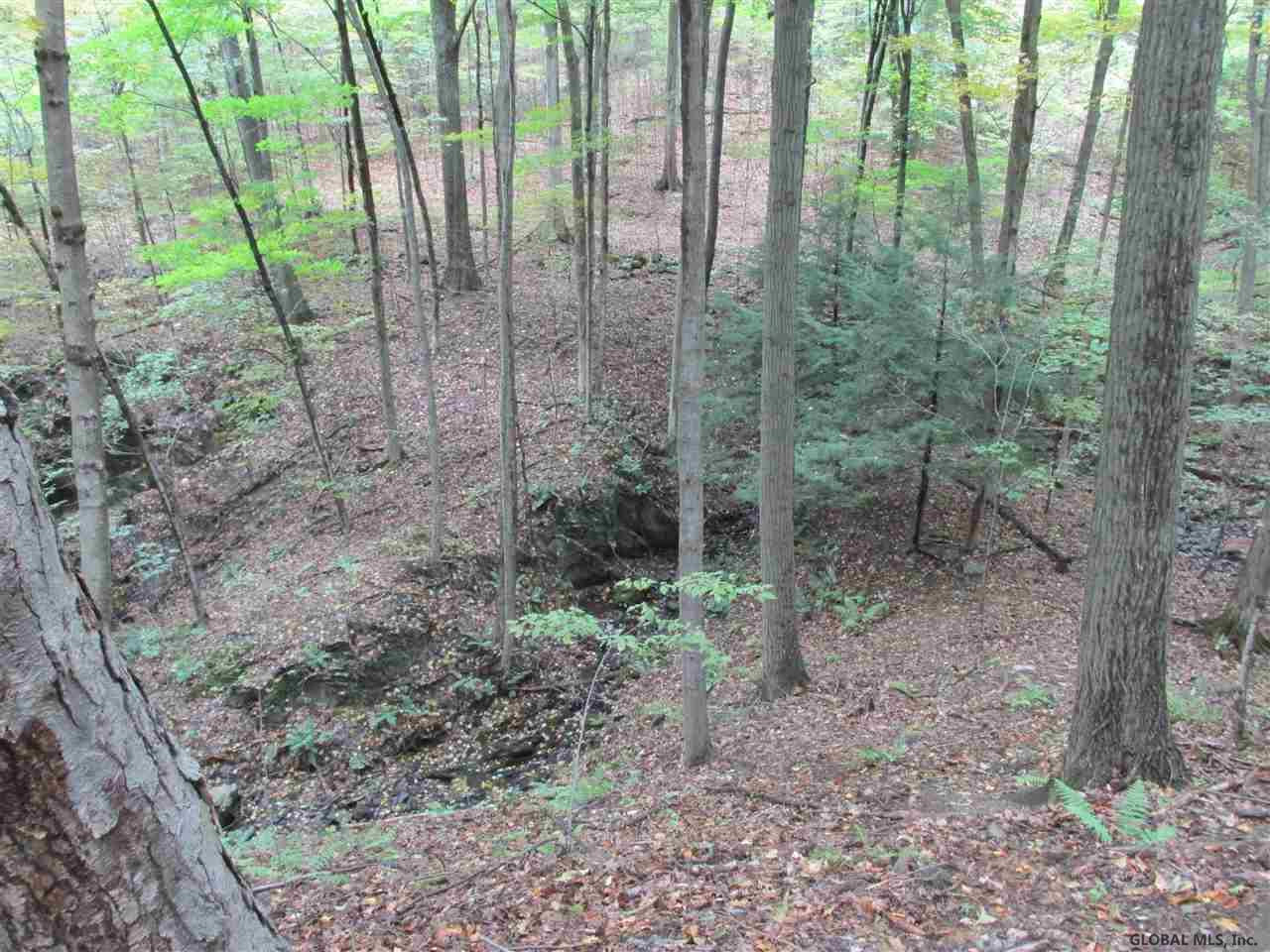 335 Roxbury Road Claverack, NY 12534 - Photo 25 of 25 Photo 25