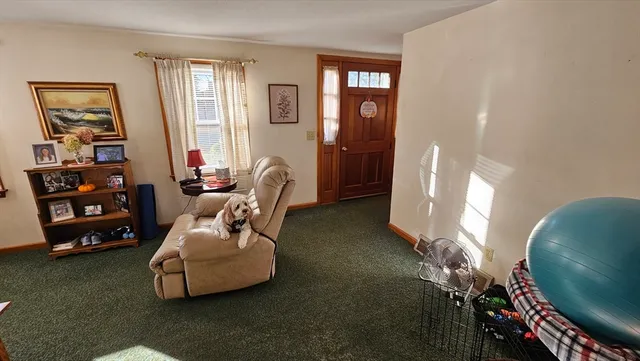a living room with furniture and a lamp