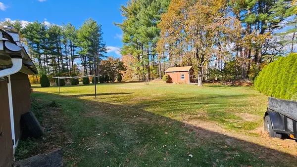 a view of a field with a tree