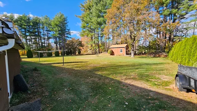 a view of a field with a tree