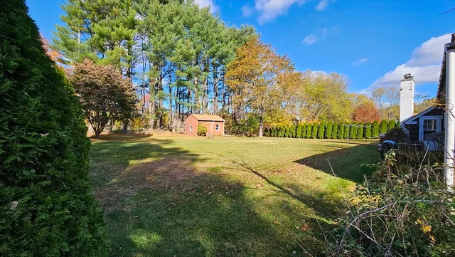 a view of yard with tree