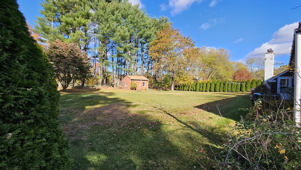 13 Capt Lathrop Drive Deerfield, MA 01373 - Photo 7 of 34 a view of yard with tree