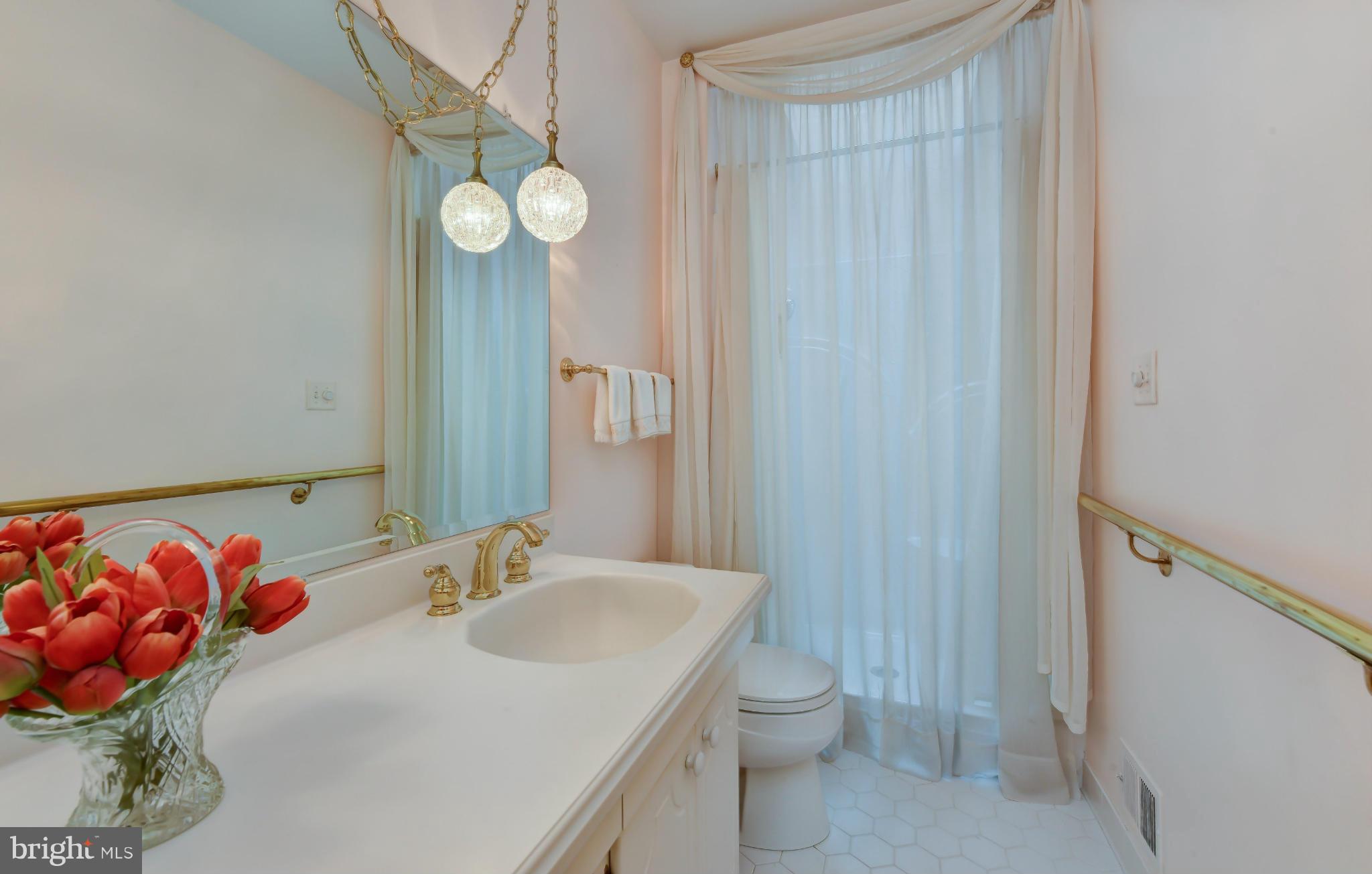 8703 Brook Road McLean, VA 22102 - Photo 13 of 30 Bath