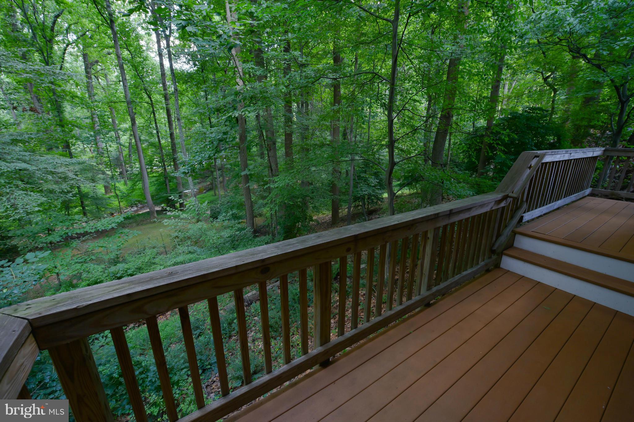 8703 Brook Road McLean, VA 22102 - Photo 23 of 30 Exterior (General)