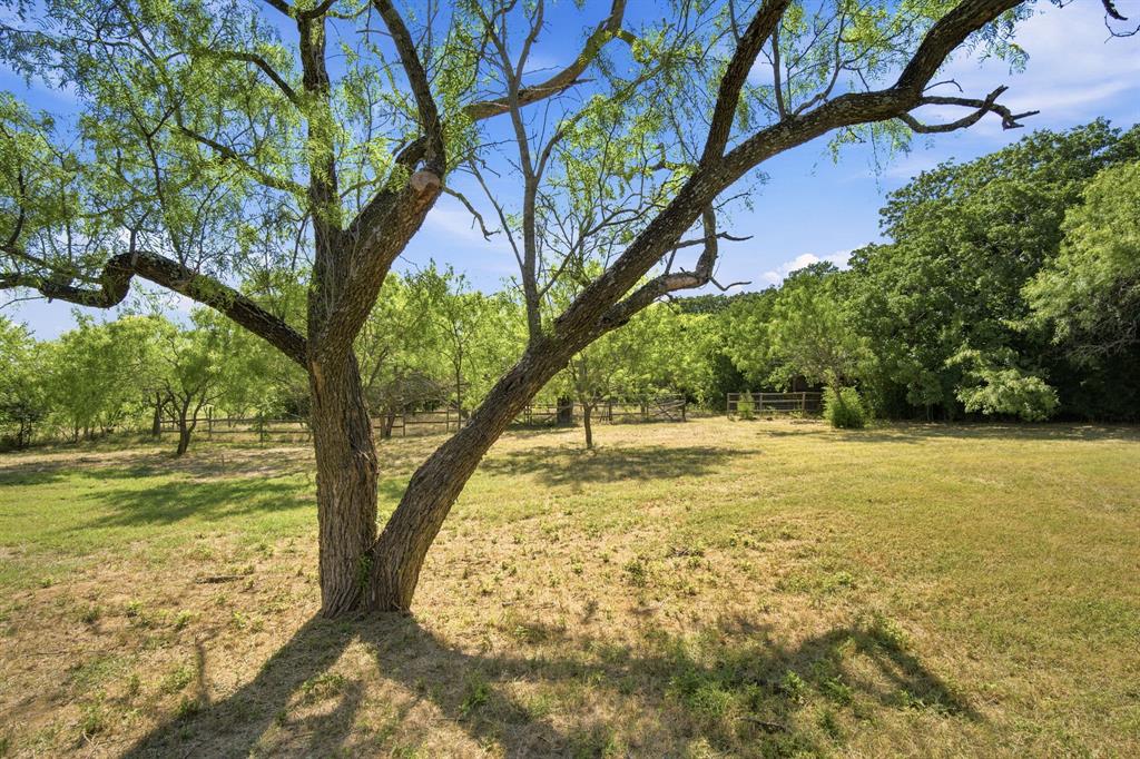 3325 Dove Creek Road Cleburne, TX 76031 - Photo 27 of 40 Expansive grassy area featuring a prominent mature tree providing shade, surrounded by additional trees and natural foliage, with a partial wooden fence visible in the background