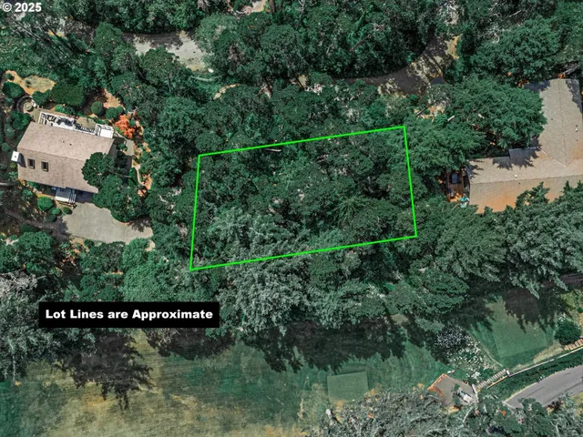 a view of a forest from a lake view