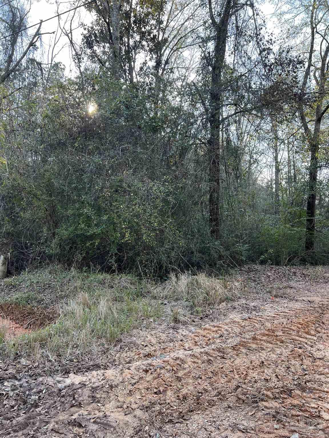550 Jacks Branch Road Cantonment, FL 32533 - Photo 2 of 5