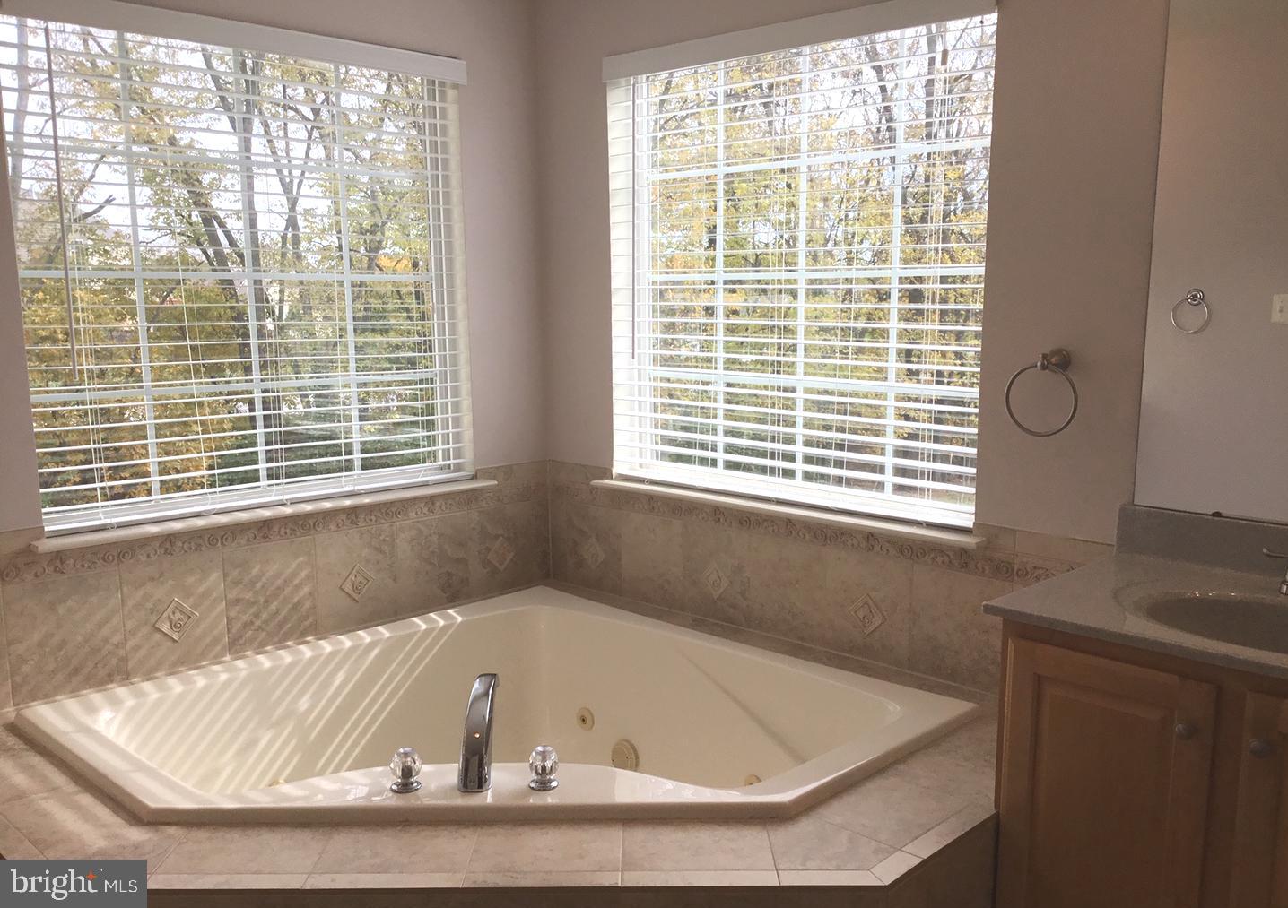1707 Canal Clipper Court Point of Rocks, MD 21777 - Photo 15 of 30 Master Bathroom