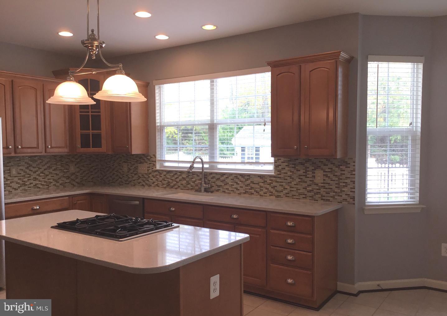 1707 Canal Clipper Court Point of Rocks, MD 21777 - Photo 4 of 30 Kitchen