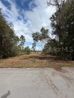 a view of dirt yard with large trees