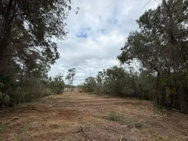 a view of a field with trees in back