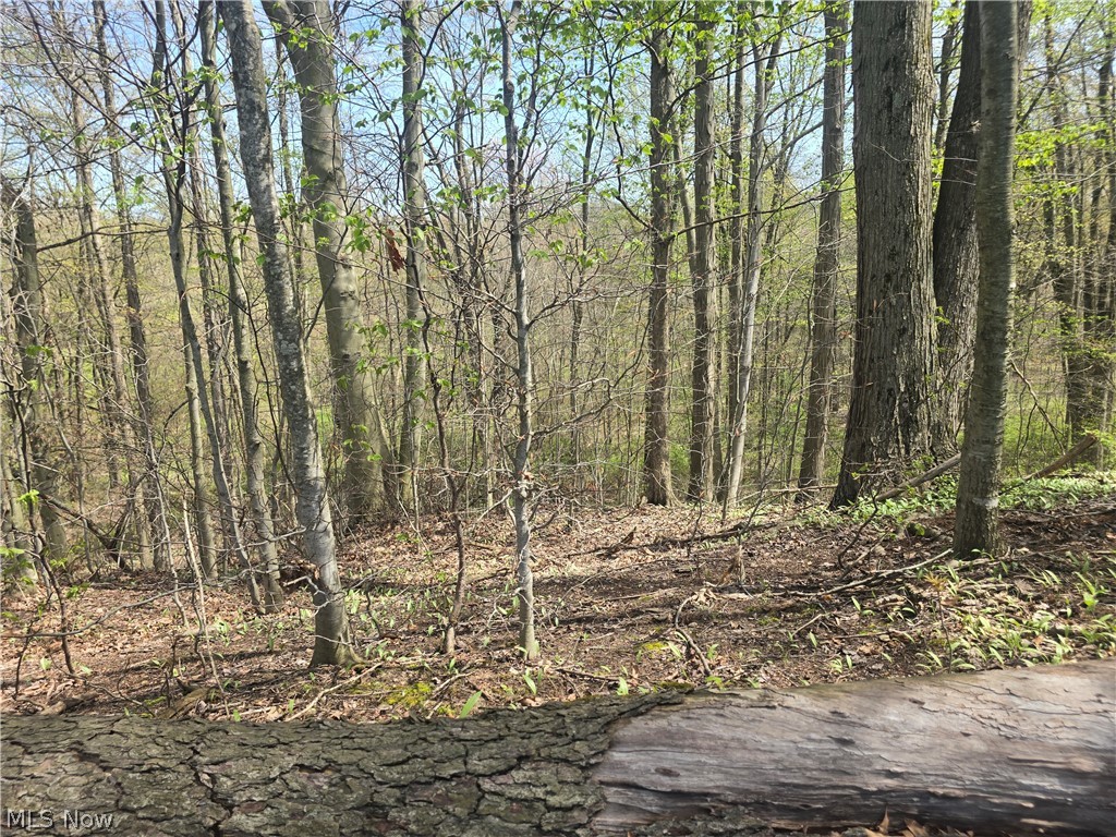Tische Road Jefferson, OH 44047 - Photo 15 of 21