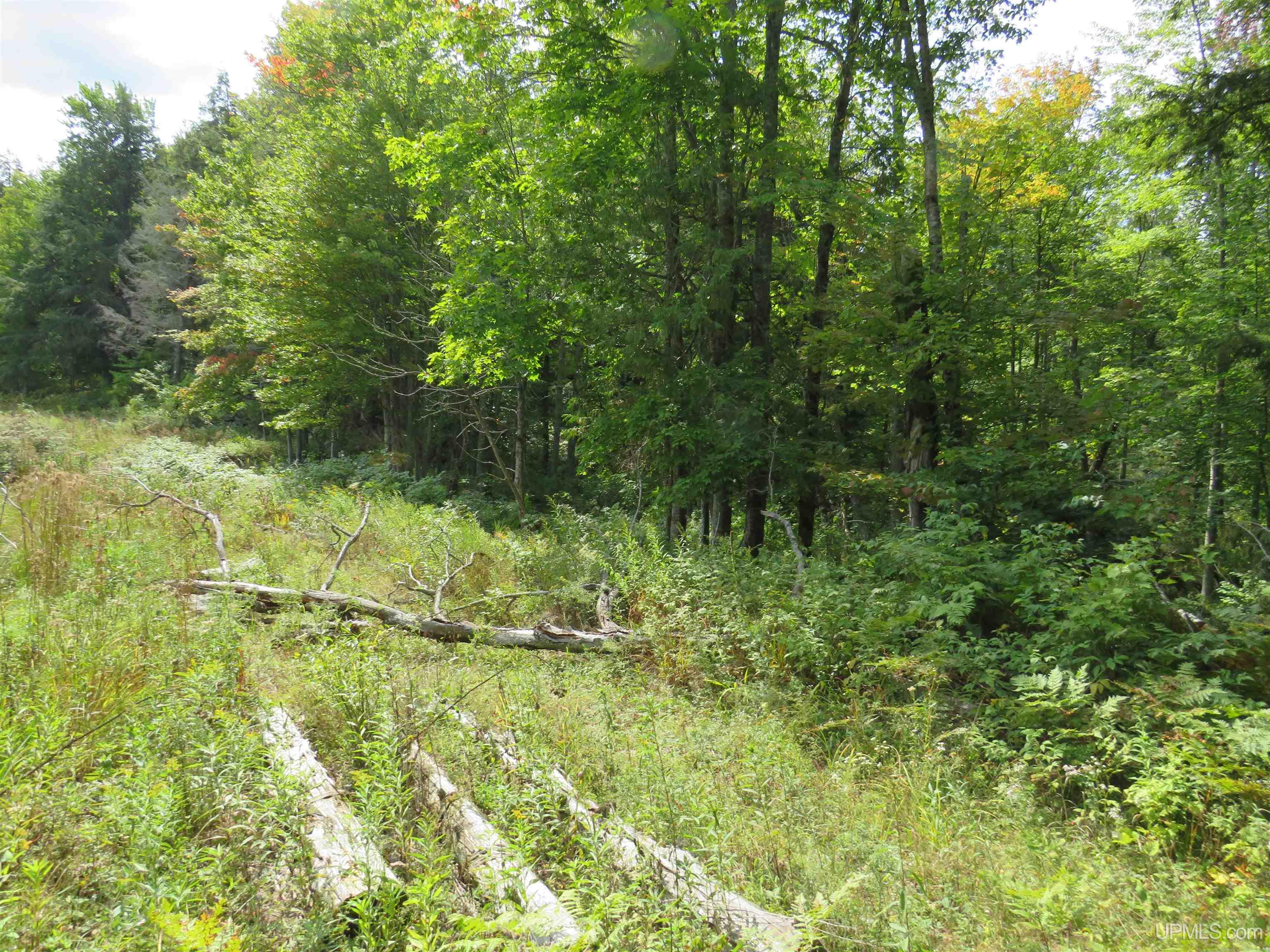 Tbd Black Creek Road Skanee, MI 49962 - Photo 3 of 14