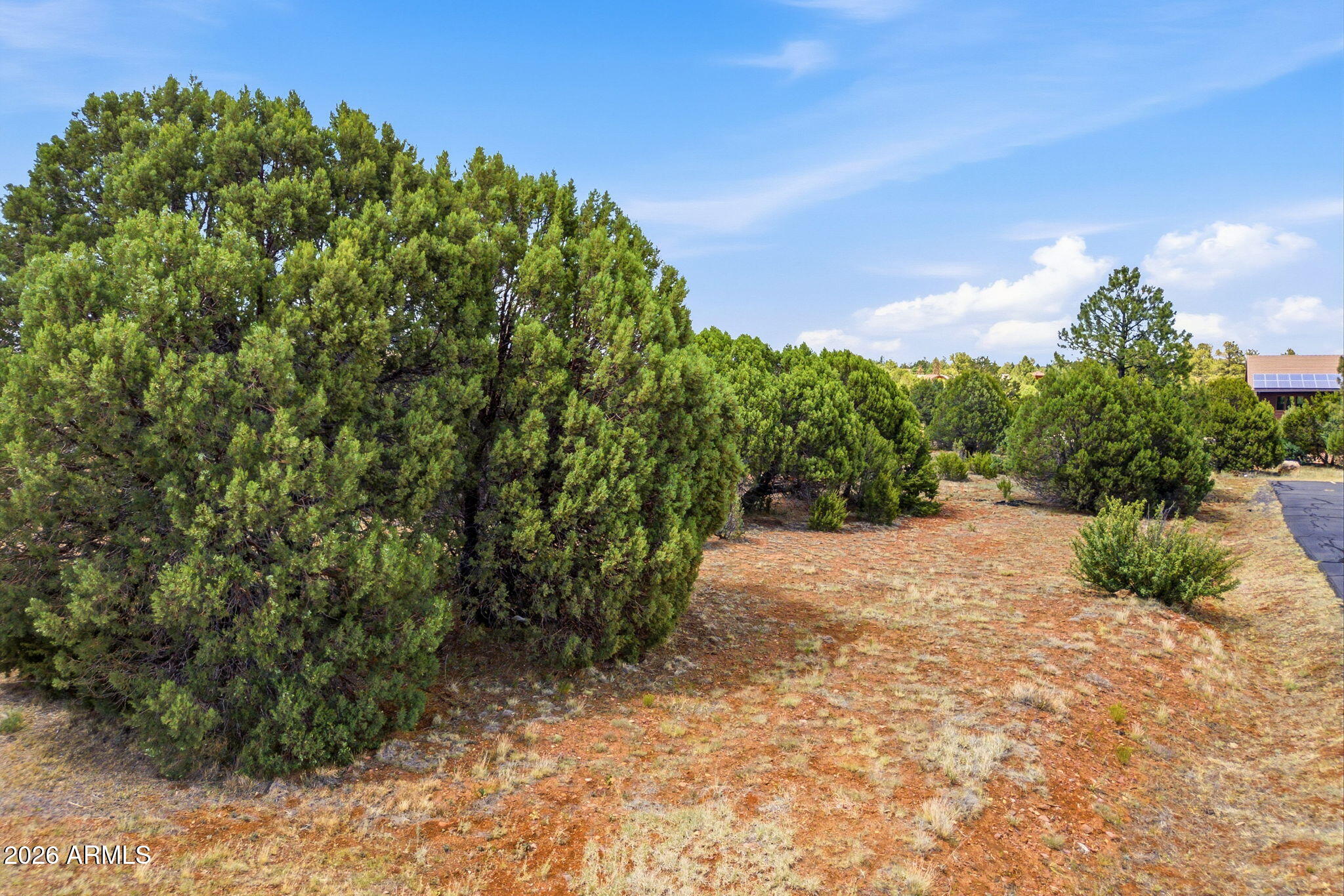 2323 Kitfox Circle, Unit 238 Overgaard, AZ 85933 - Photo 13 of 15 2323 Kitfox Circle