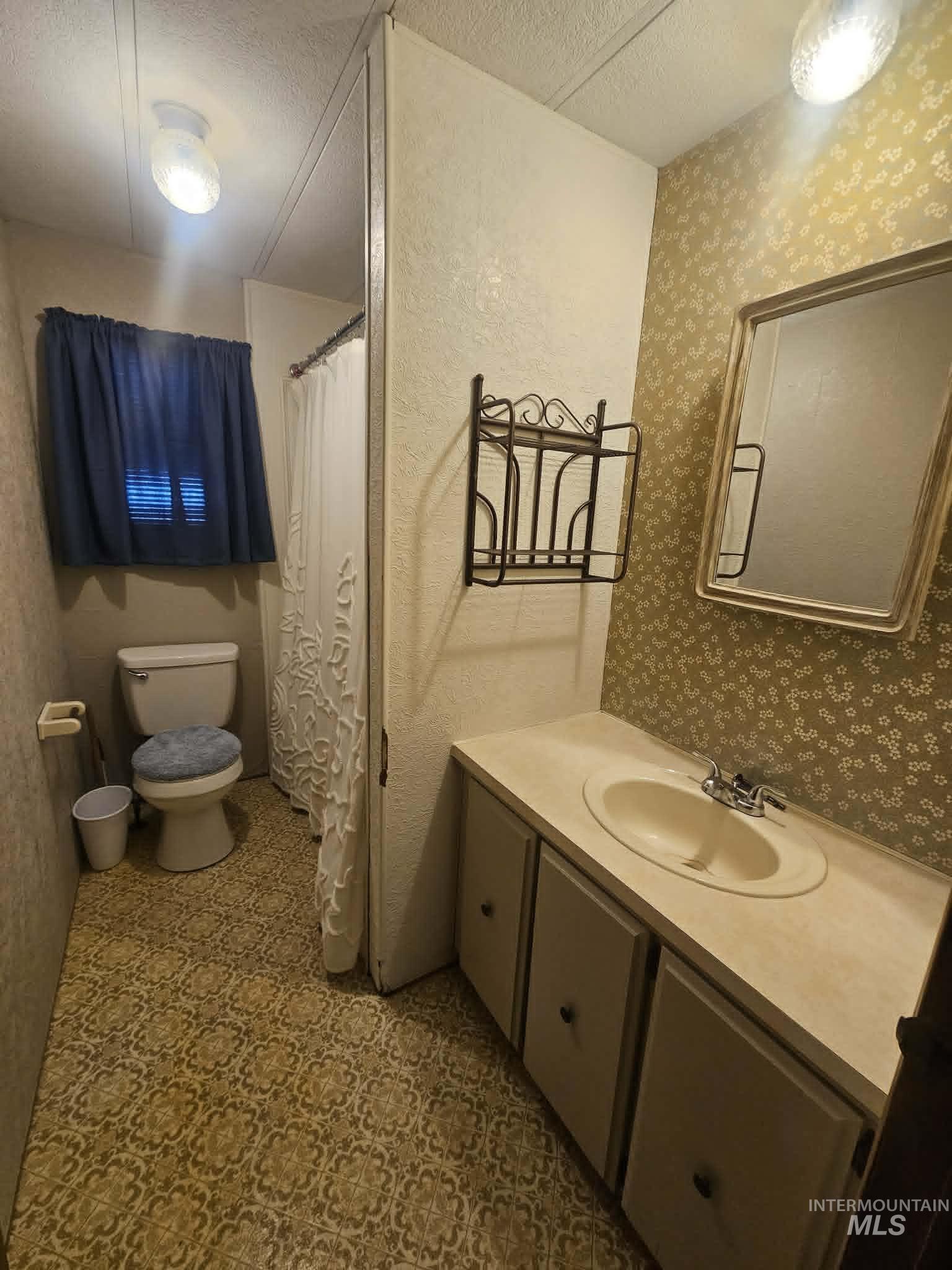 461 Greenleaf Street Boise, ID 83713 - Photo 5 of 19 Bathroom featuring a patterned vinyl floor, a single vanity with a solid surface countertop, a wall-mounted mirror, and a toilet