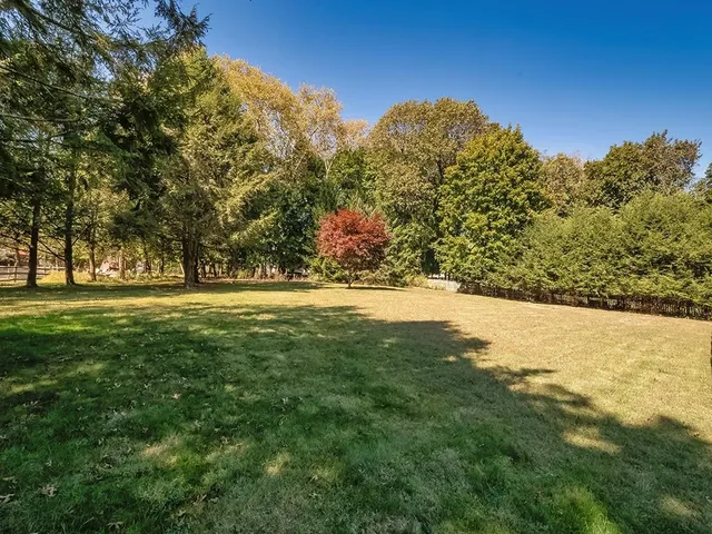 a view of yard with green space