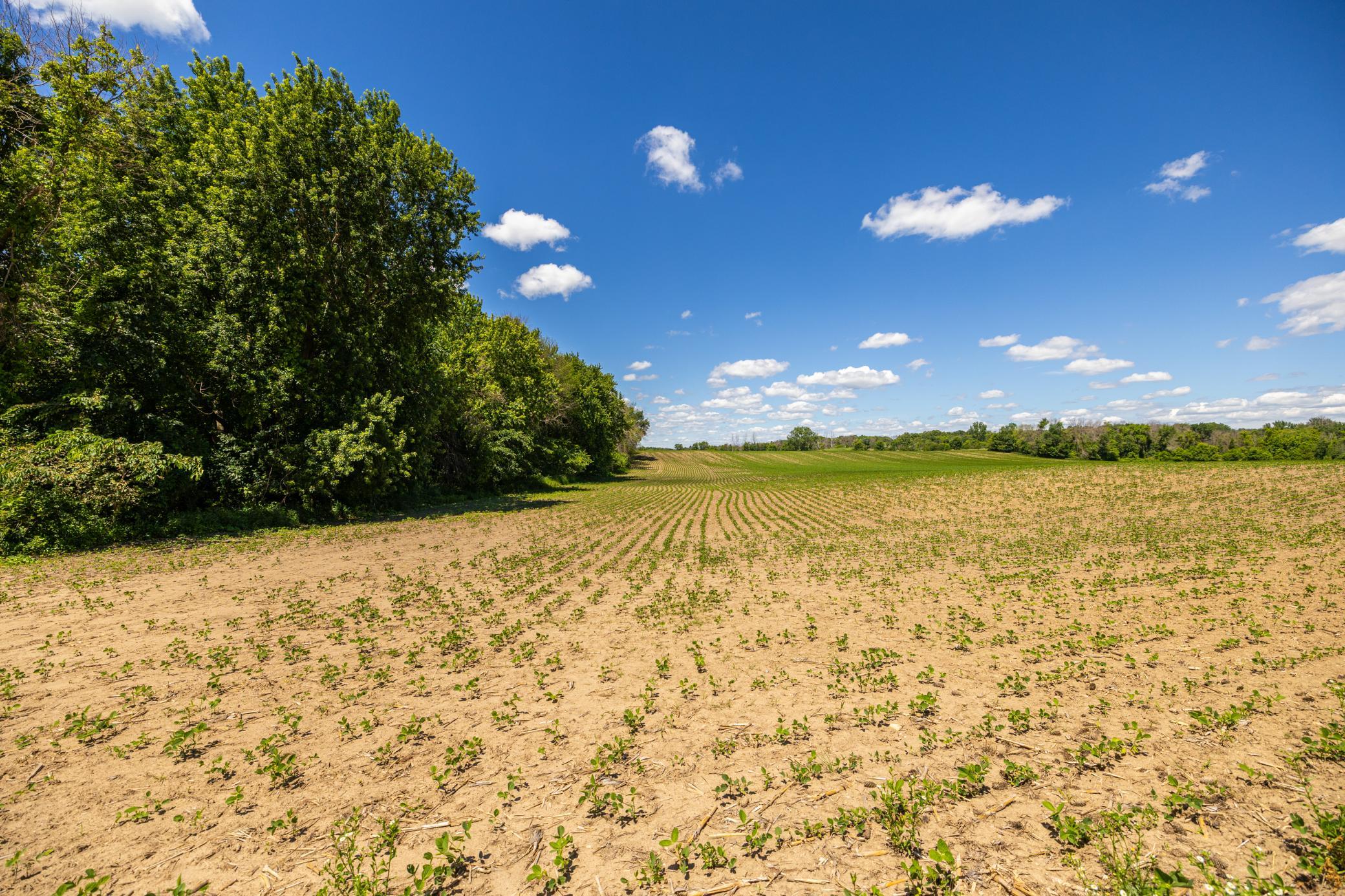 Tbd Base Line Road Northfield, MN 55057 - Photo 45 of 51