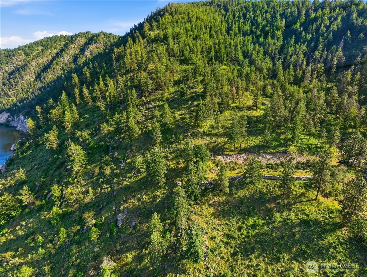 7365 Ridgeview Drive Chelan, WA 98816 - Photo 13 of 17 a view of a lush green forest