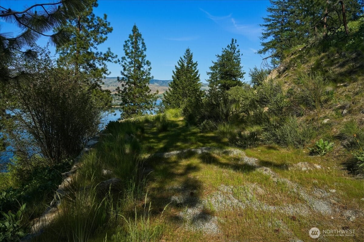 7365 Ridgeview Drive Chelan, WA 98816 - Photo 4 of 17 a view of yard