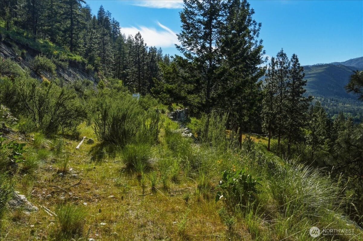 7365 Ridgeview Drive Chelan, WA 98816 - Photo 7 of 17 a view of a lush green space