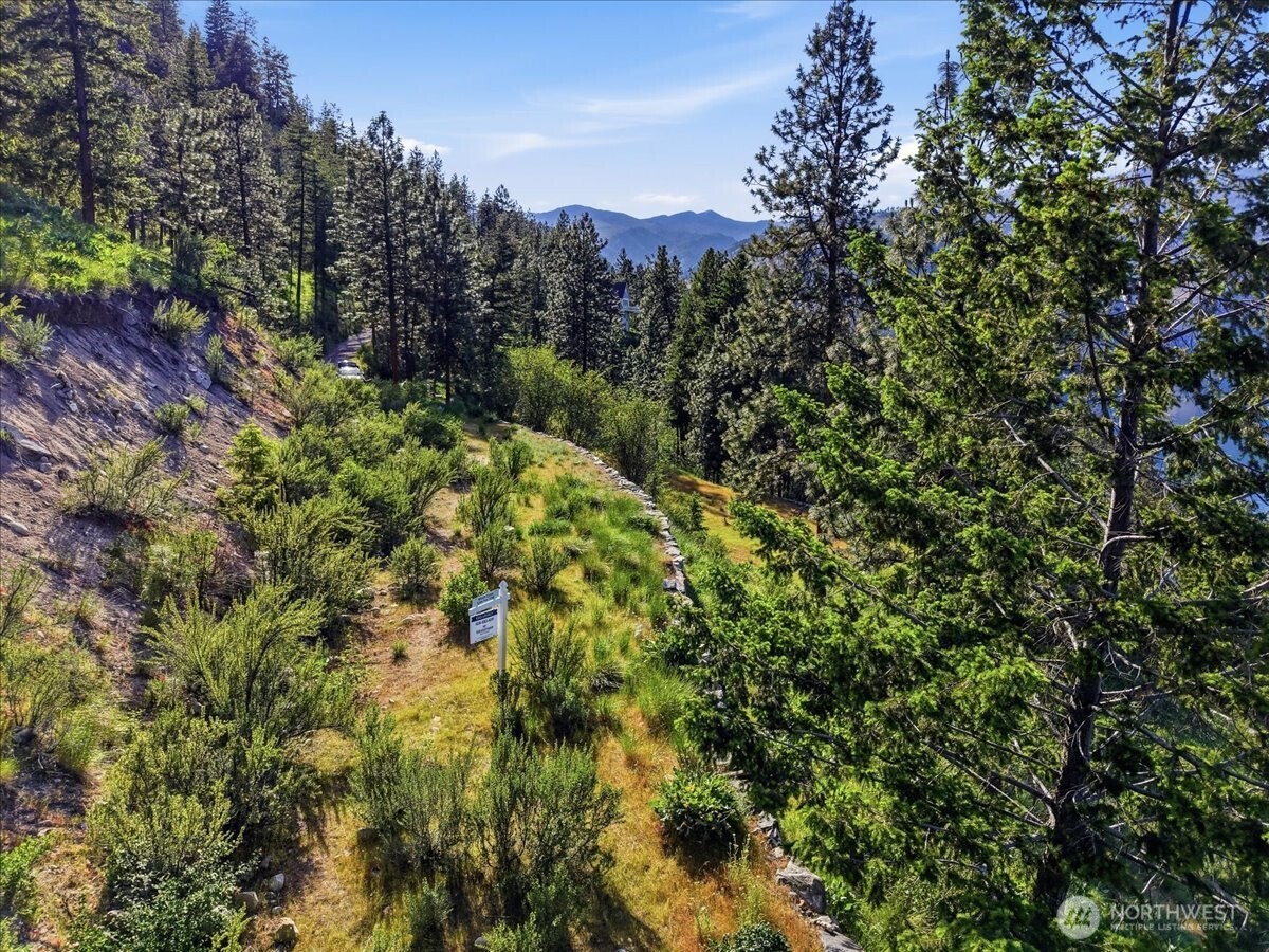 7365 Ridgeview Drive Chelan, WA 98816 - Photo 10 of 17 a view of a forest with a tree