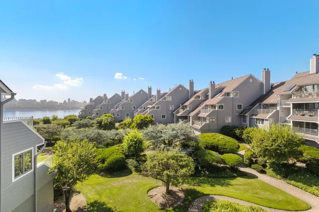 a view of a house with a big yard and large tree