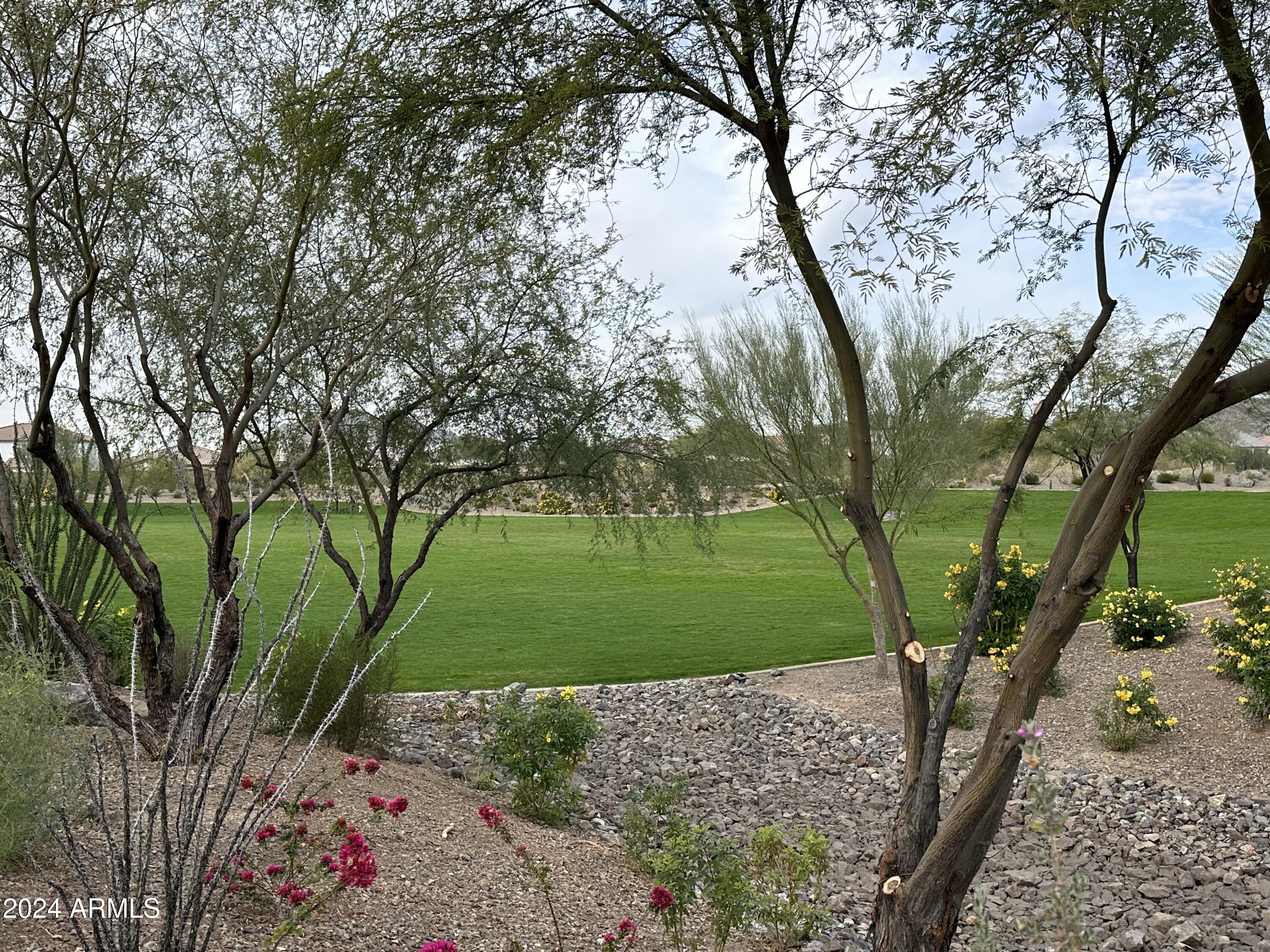 7631 West Tether Trail Peoria, AZ 85383 - Photo 13 of 14 a view of a garden with a tree