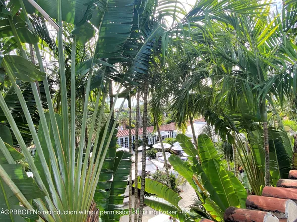 a view of a plant in front of a building