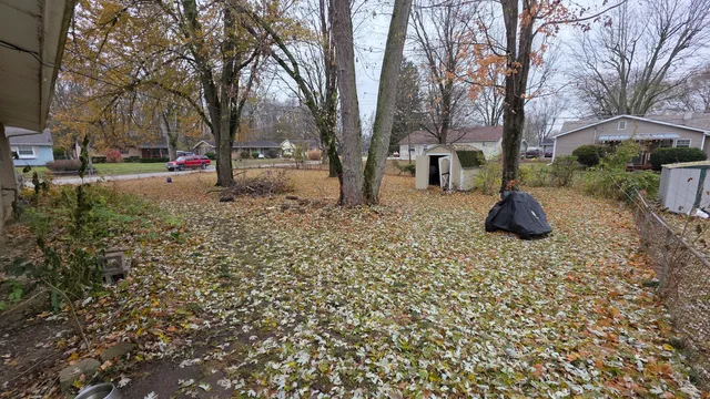 a ground with lots of trees