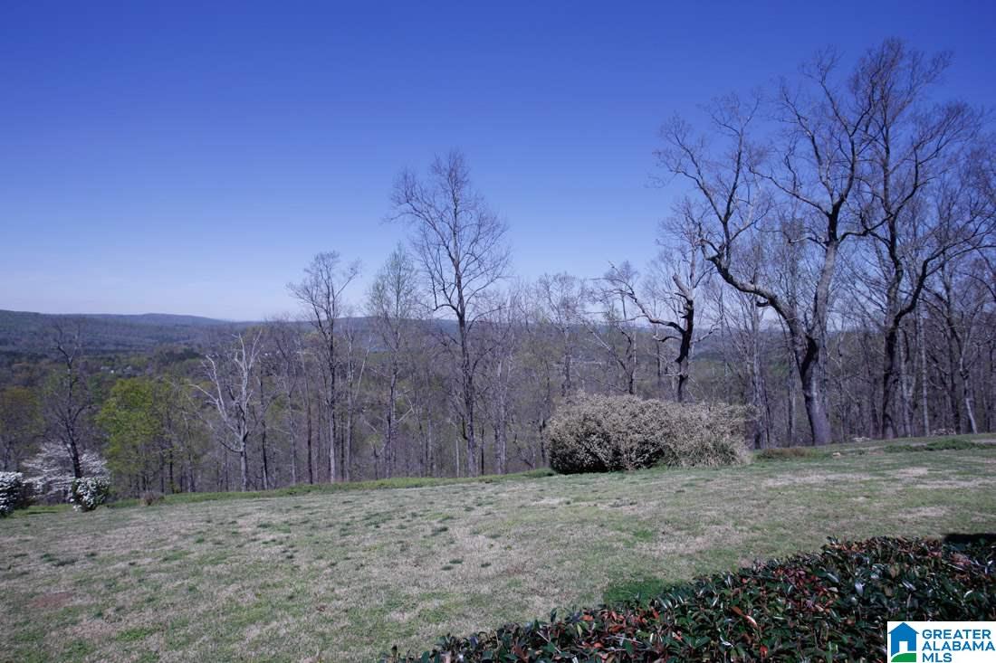 7625 Old Springville Road Trussville, AL 35173 - Photo 41 of 49