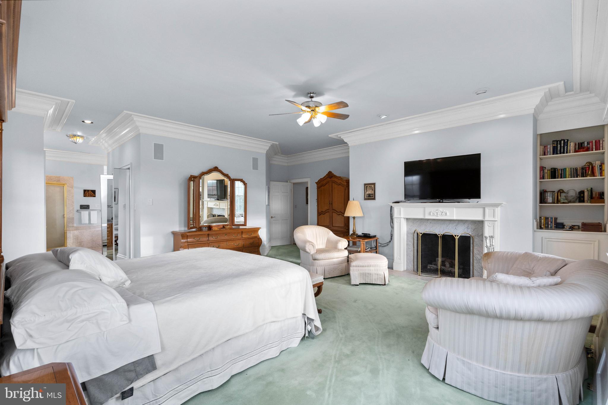 37120 Devon Wick Lane Purcellville, VA 20132 - Photo 34 of 66 a bedroom with a large bed and a fireplace