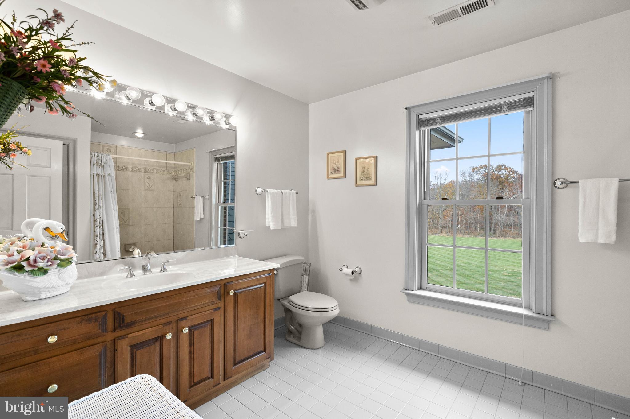37120 Devon Wick Lane Purcellville, VA 20132 - Photo 40 of 66 a spacious bathroom with a double vanity sink toilet and a mirror