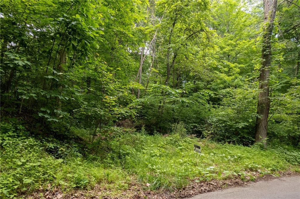 0 Dehaven Road Beaver Falls, PA 15010 - Photo 6 of 6