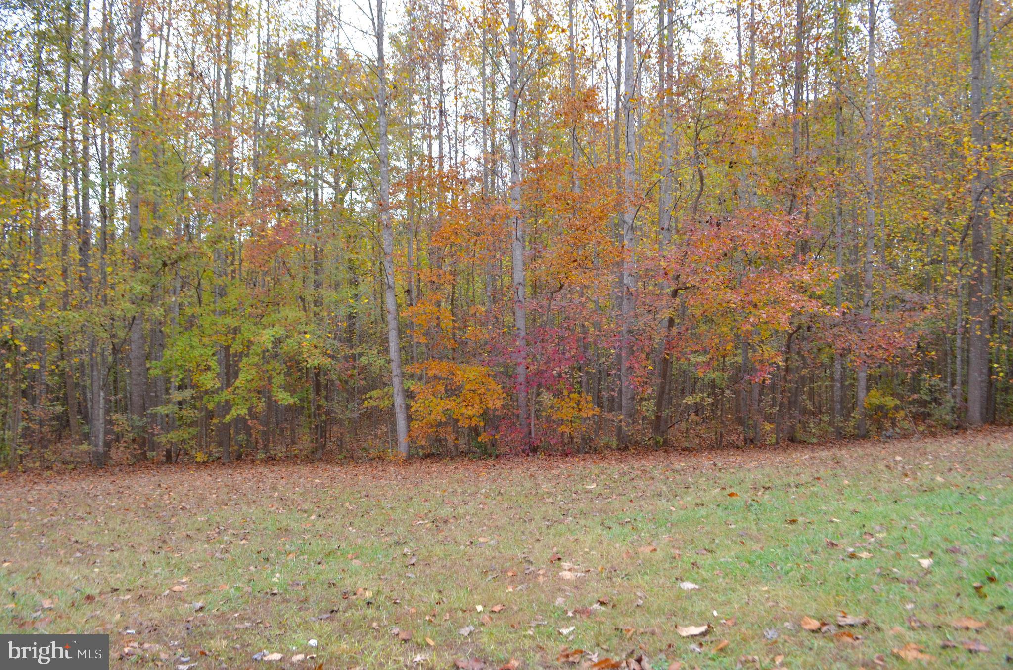 2605 Pendleton Road Mineral, VA 23117 - Photo 38 of 51 Gallery Image 38