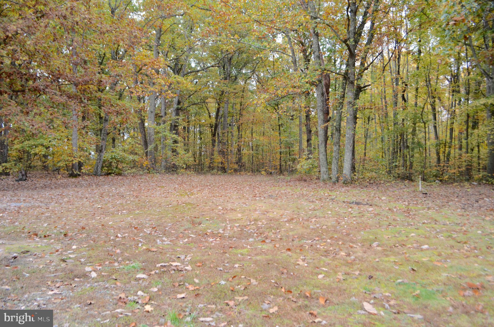 2605 Pendleton Road Mineral, VA 23117 - Photo 39 of 51 Gallery Image 39