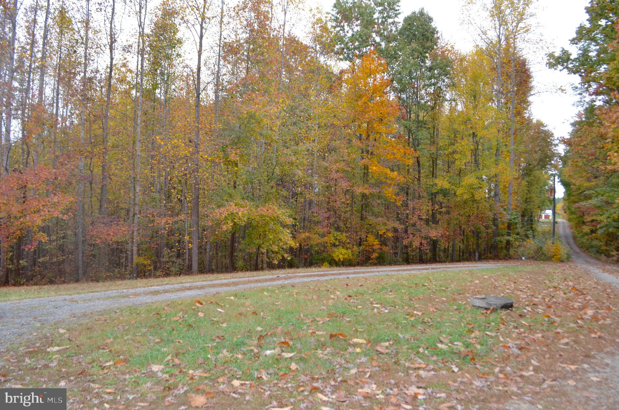 2605 Pendleton Road Mineral, VA 23117 - Photo 46 of 51 Gallery Image 46