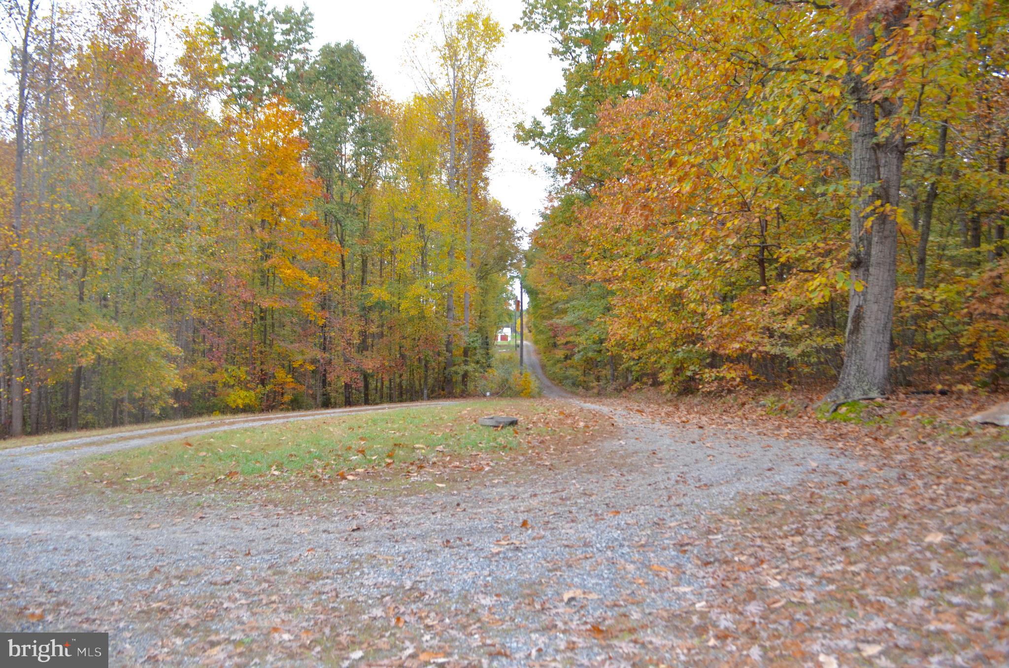 2605 Pendleton Road Mineral, VA 23117 - Photo 5 of 51 1.5 acres
