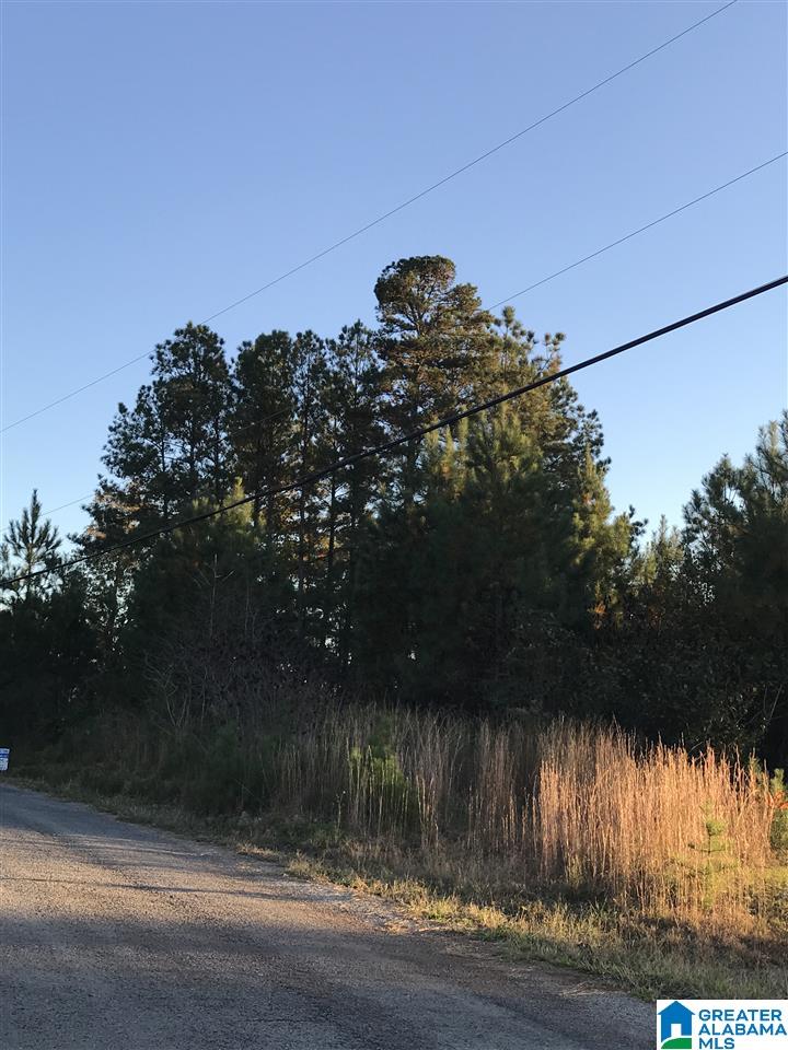 0 Indian Hills Road Hayden, AL 35079 - Photo 1 of 1