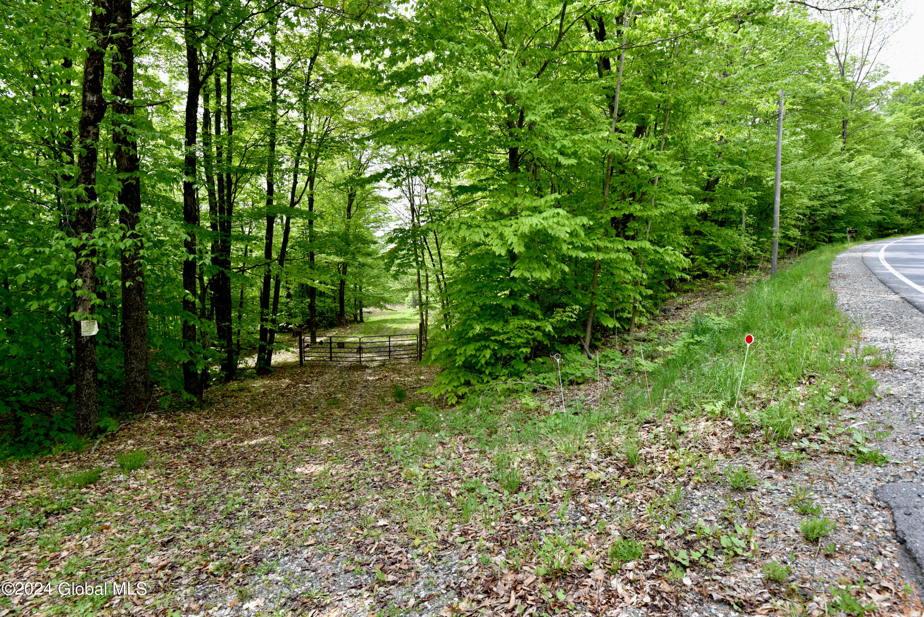 430 Lake Desolation Road Greenfield, NY 12850 - Photo 1 of 39 1